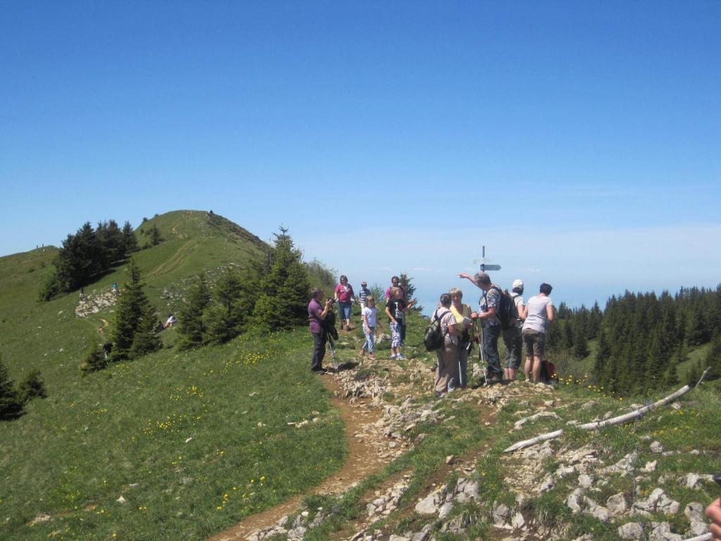 Apart Greber Andelsbuch Extérieur photo